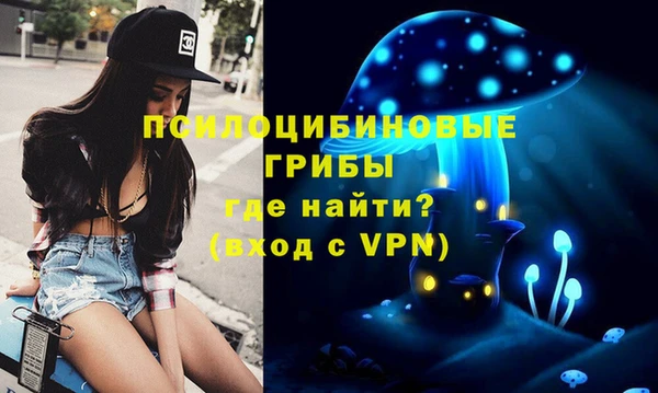 крисы Абинск