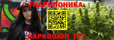 кокс Ставрополь