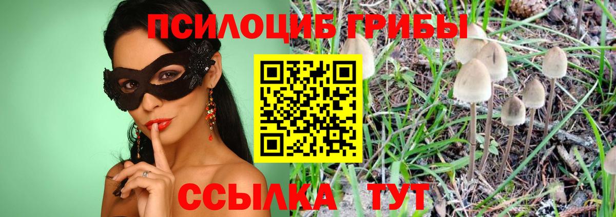 Галлюциногенные грибы ЛСД  Вход с VPN  Сызрань 